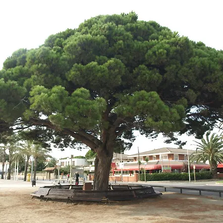 Geminis Cambrils